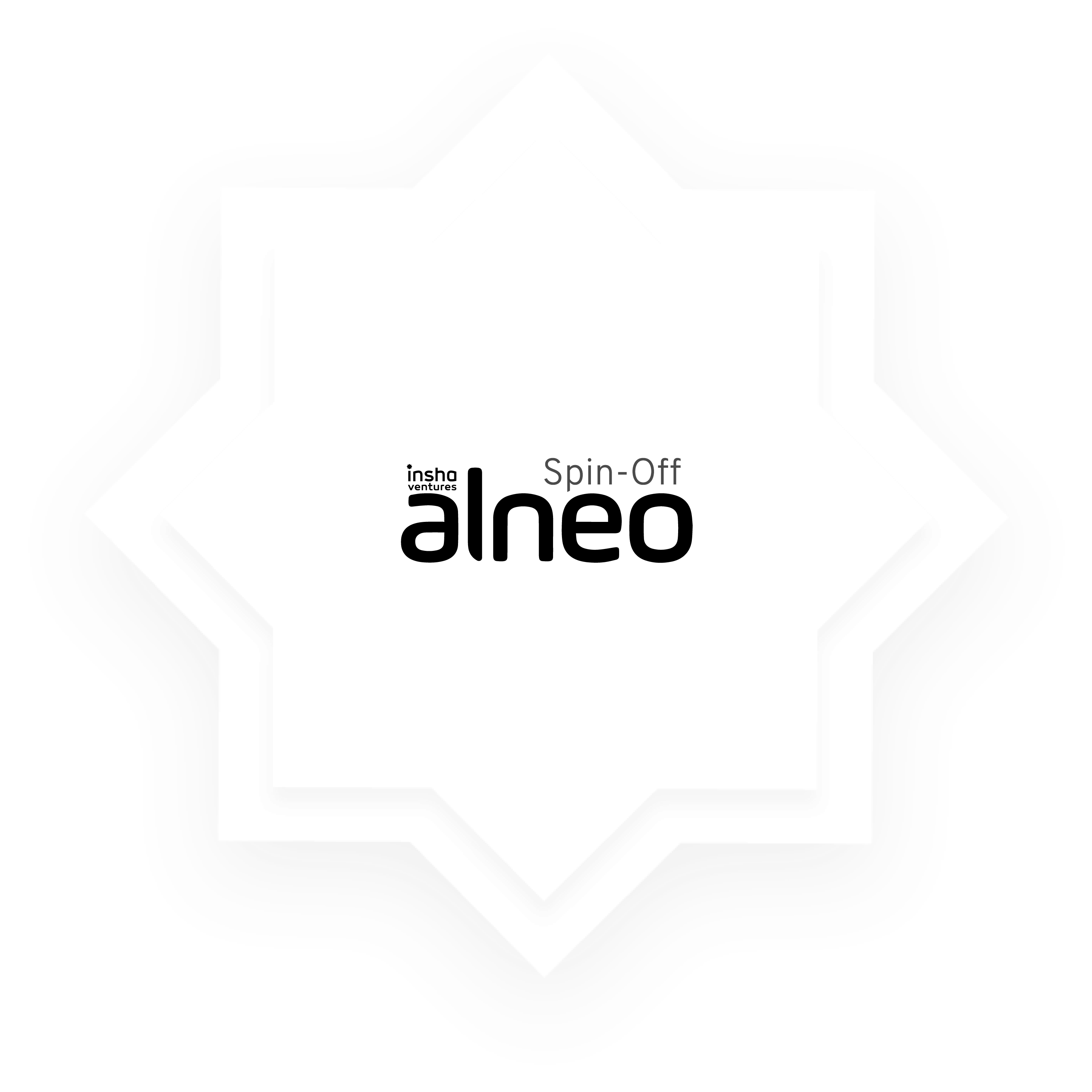 Alneo – insha Ventures Spin-Off